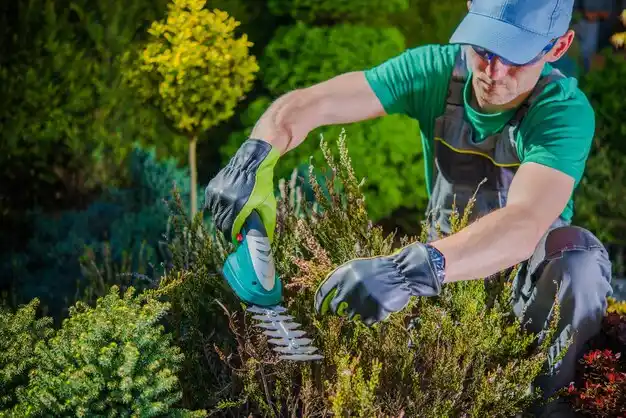 landscaping services Felicity